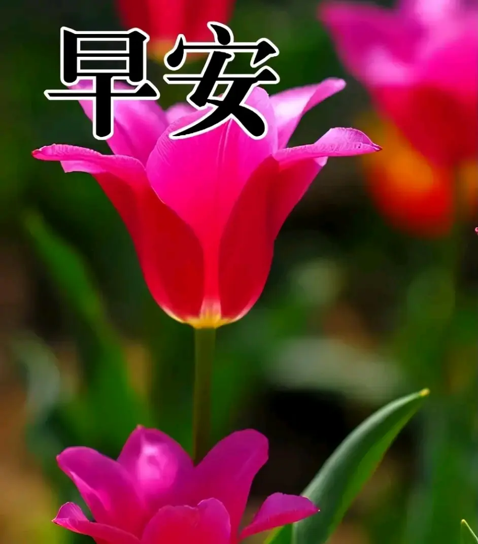 真正的朋友没有距离 无所谓天涯 不在乎海角 问候从未忘记 哔哩哔哩