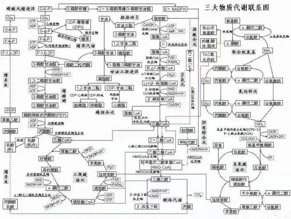 乳酸林格氏液什么时候不能用 哔哩哔哩