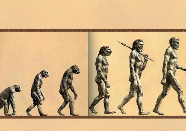 六次元外星人 地外生命体通过改变灵长类动物基因创造了地球人类 哔哩哔哩