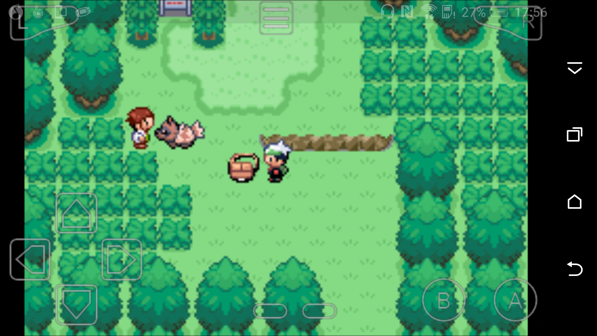 《口袋妖怪永恒之沫》图文攻略