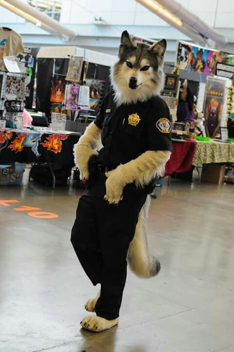 本文禁止转载或摘编 狼 兽装 fursuit furry