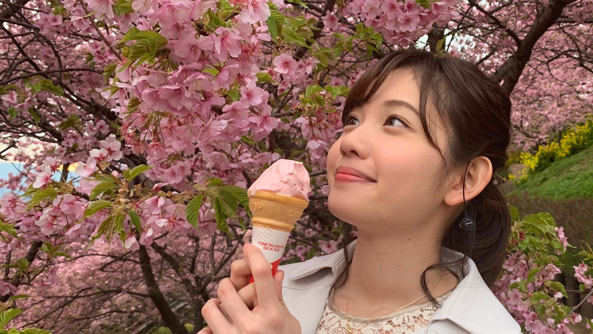 [博客翻译]田中瞳的一天 20200227 哔哩哔哩