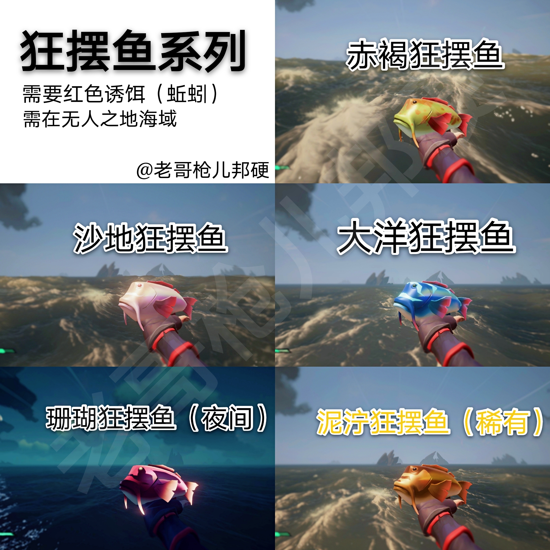 盗贼之海最全鱼类图鉴 钓鱼方法