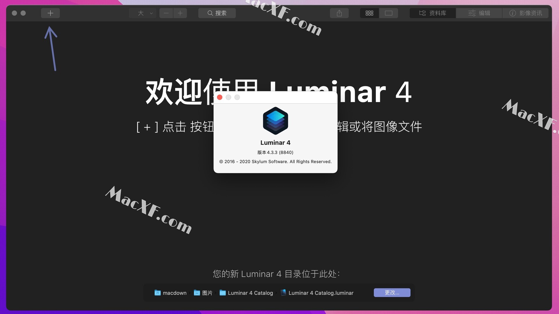 luminer mac torrent