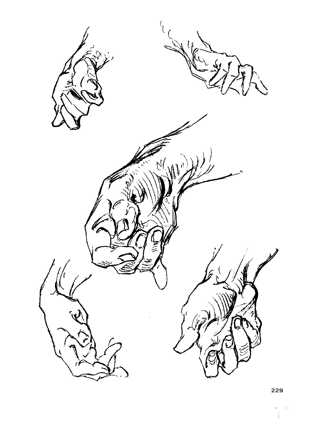 来跟仙儿菲一起研究"伯里曼"