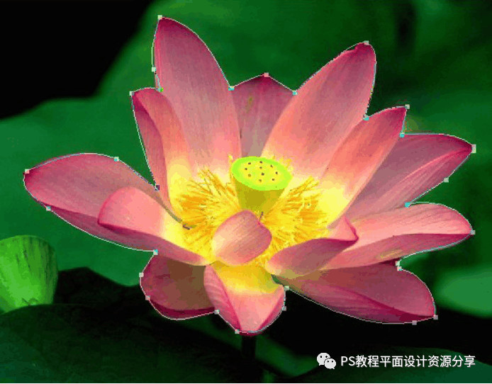 PS教程 PhotoShop矢量蒙版的应用实例教程