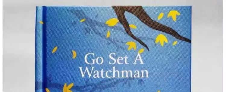 读书丨《守望之心》每个人都身处孤岛,每个人