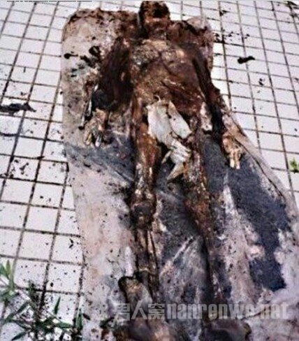 胆小慎入,中国十大灵异事件之成都僵尸!