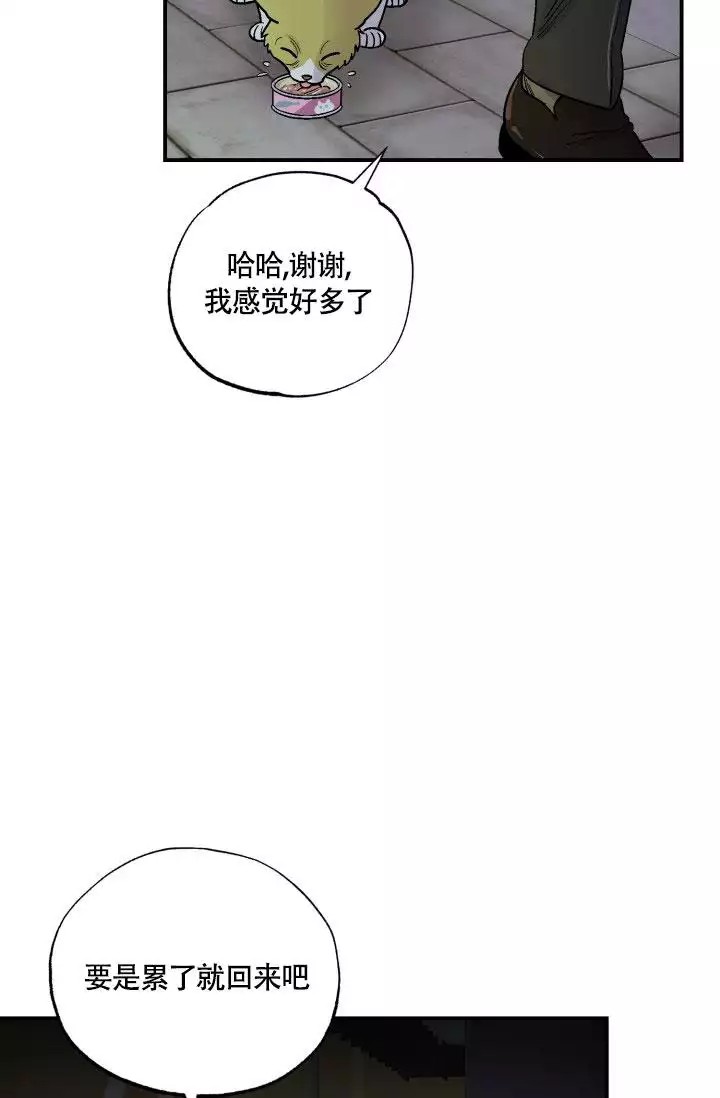 漫画《双胞胎和我》《夏菲菲的兔子》