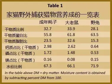 猫与蛋白质 天天叨念蛋白质 猫到底要多少 哔哩哔哩