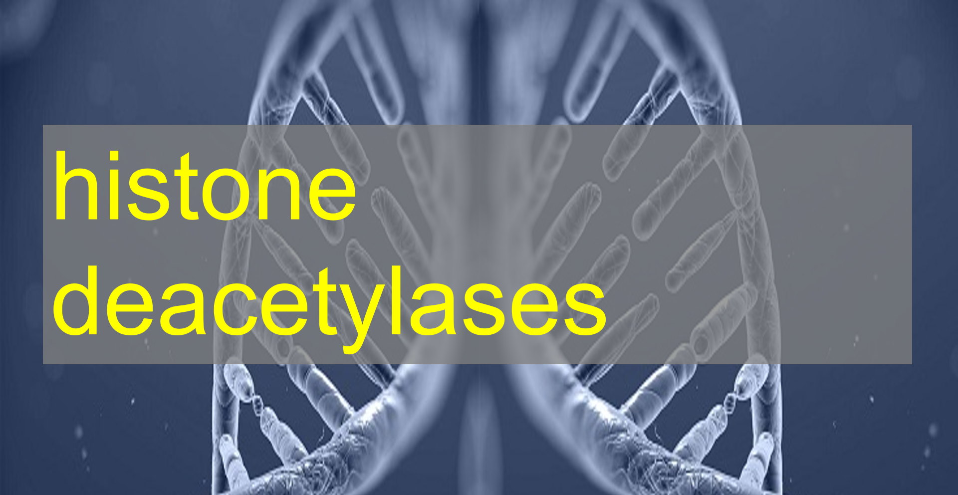 Histone Deacetylase (HDAC) Activity Assay - 哔哩哔哩