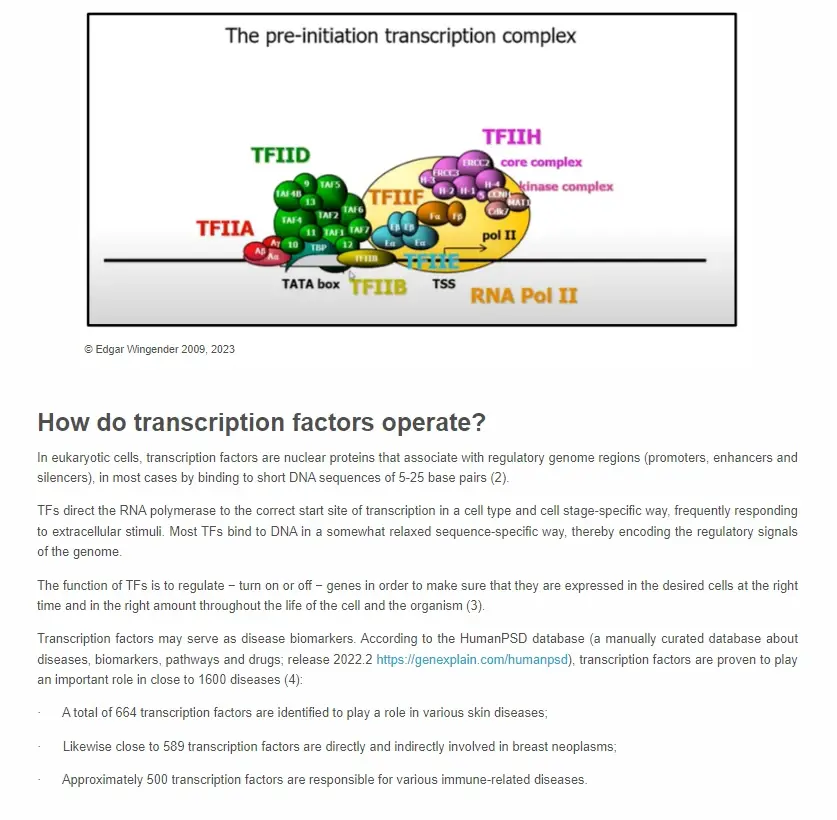 什么是转录因子(transcription factors)？