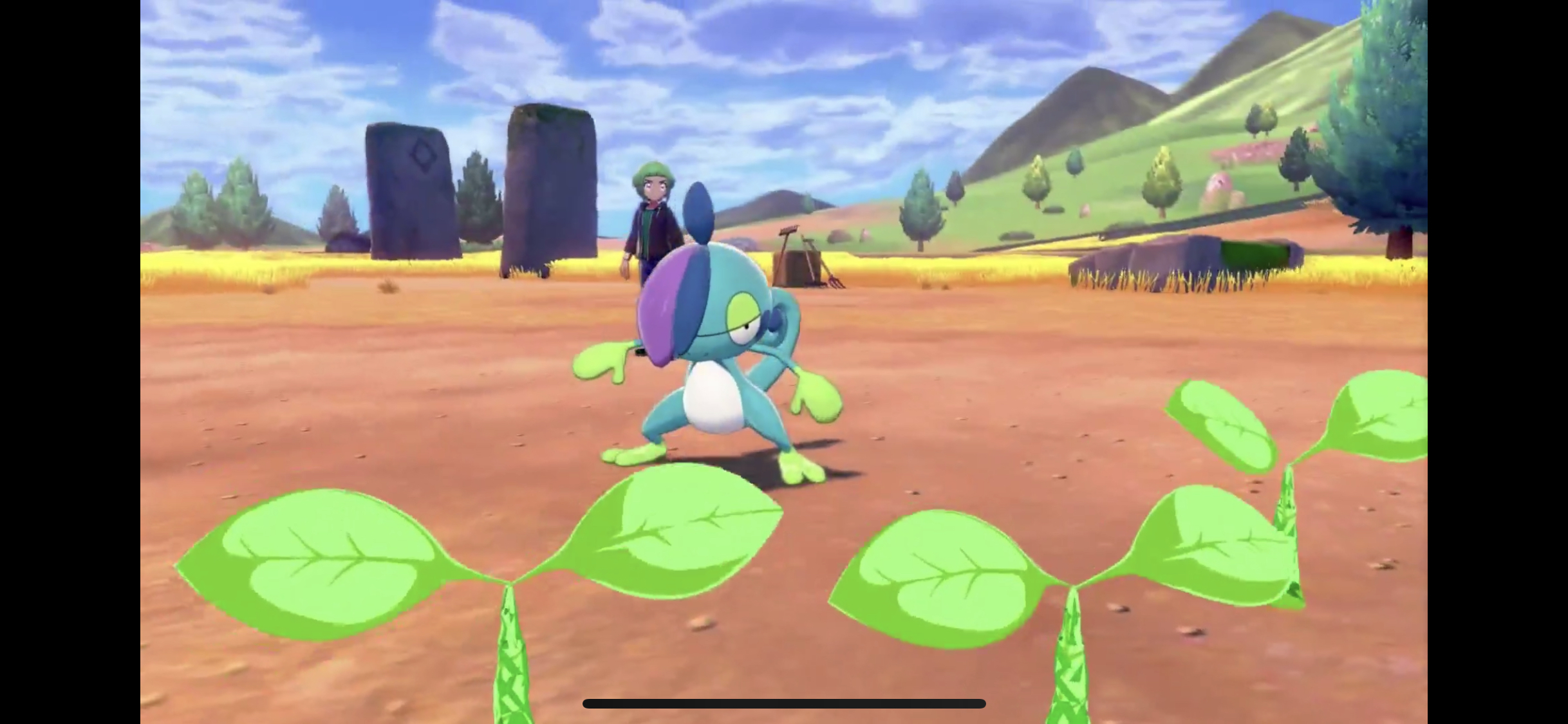 宝可梦剑盾偷跑,,歪果直播截图