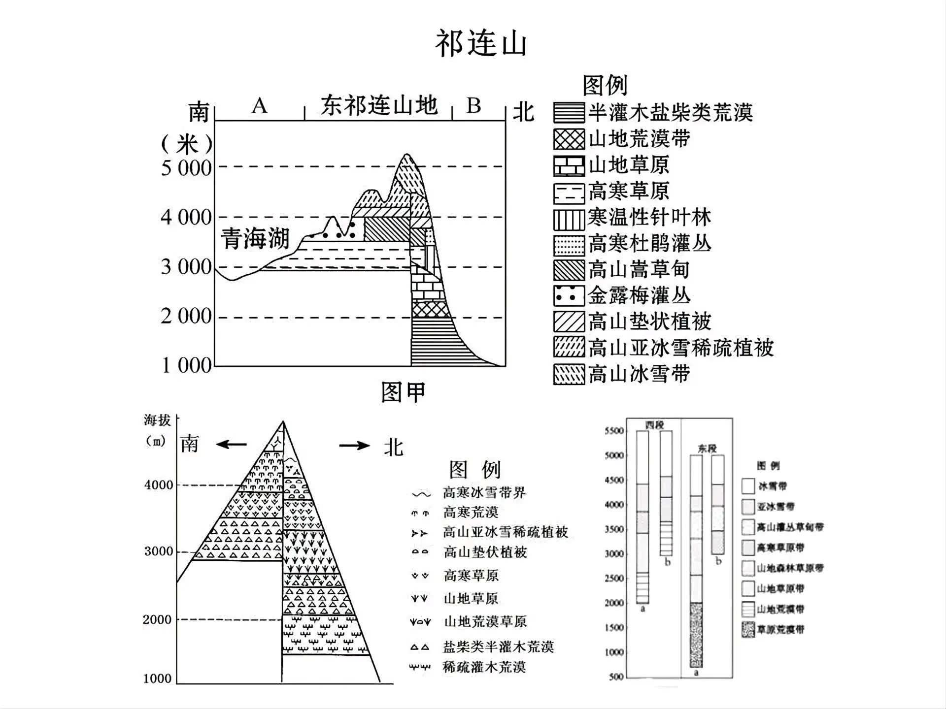 高中地理·垂直地带性植被分布