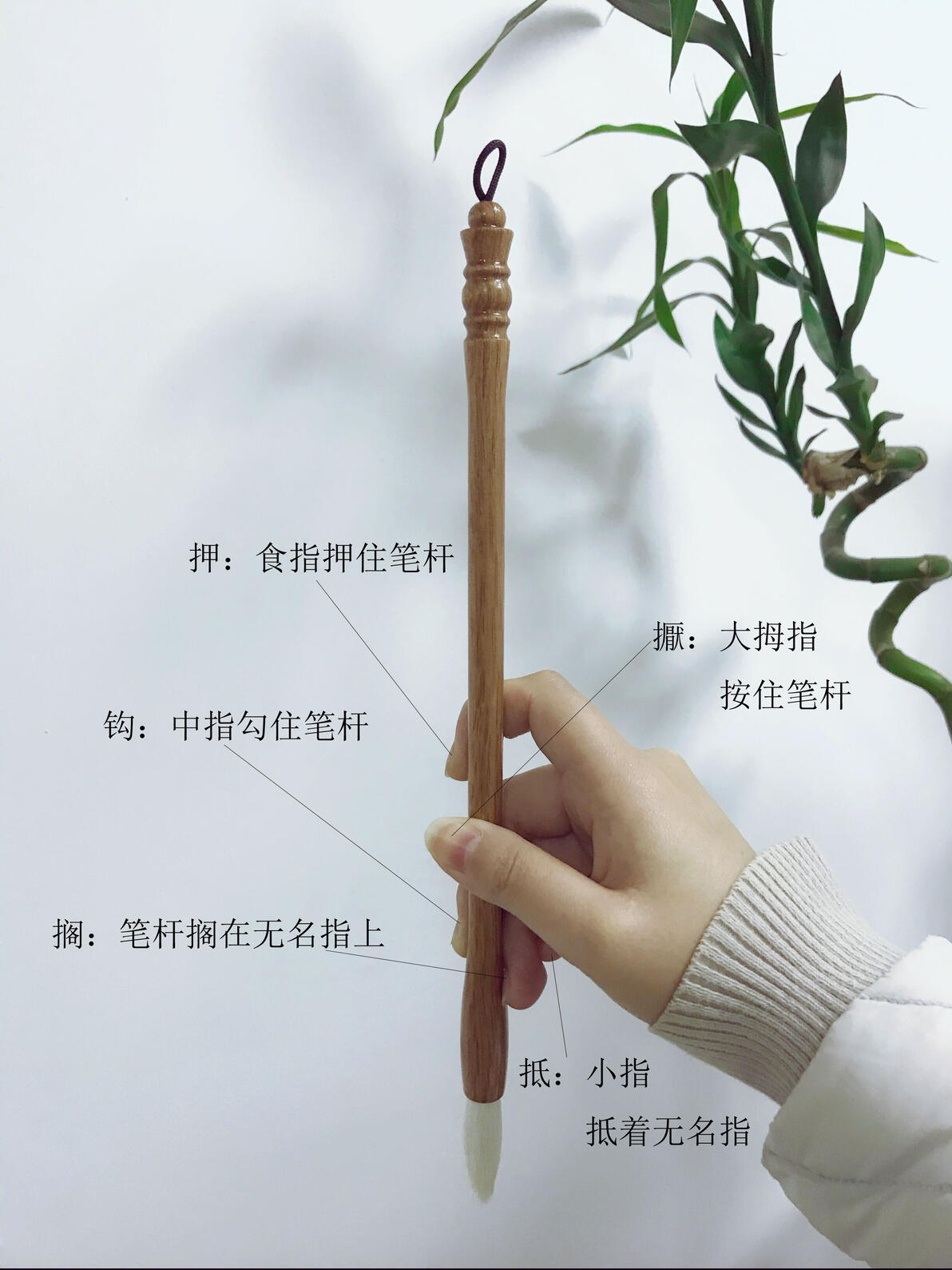 学习书法,如何执笔? - 哔哩哔哩