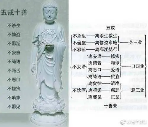五戒十善 哔哩哔哩