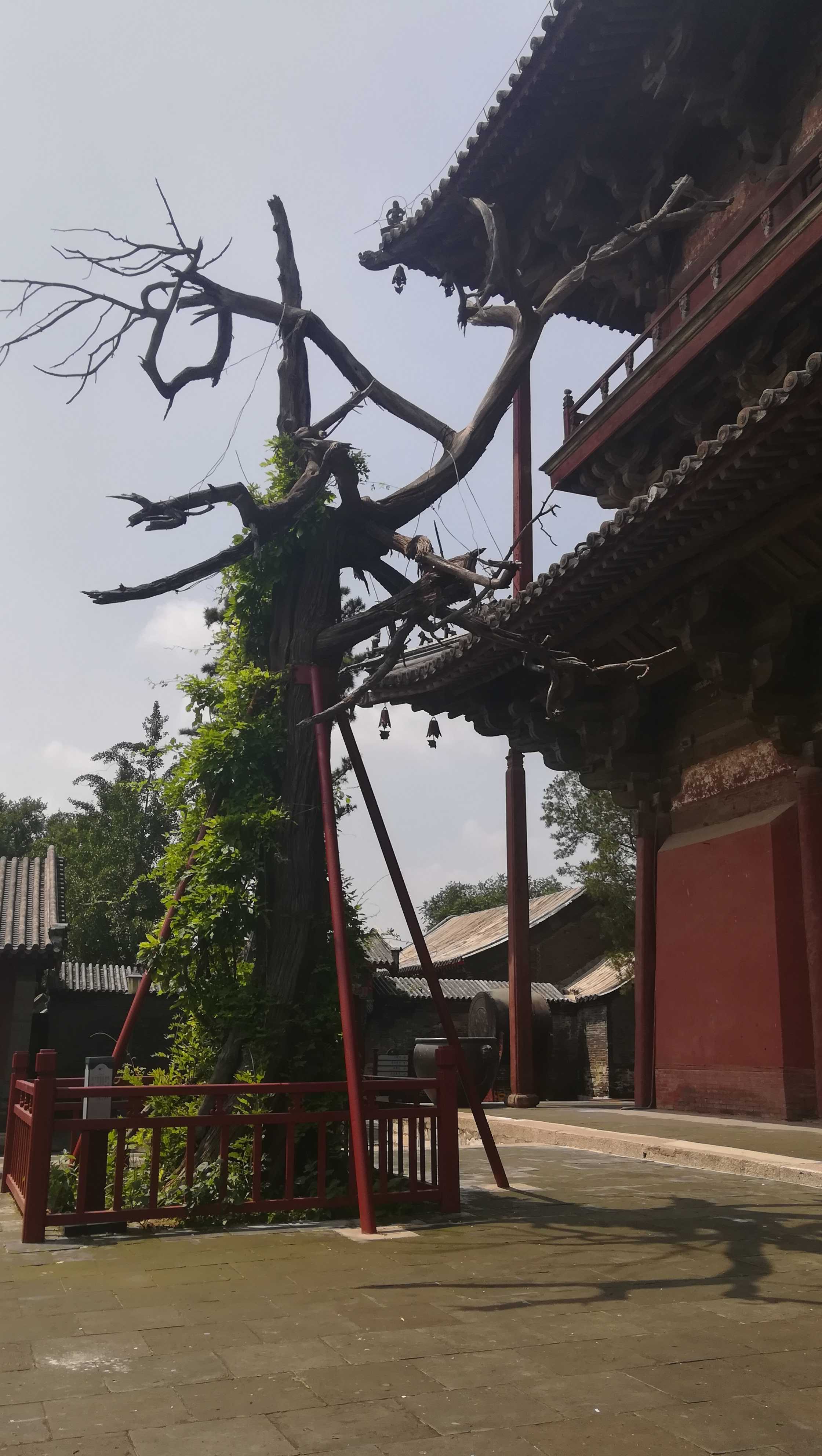追随营造学社的足迹—蓟县访古(观音阁细节讨论and参观建议)