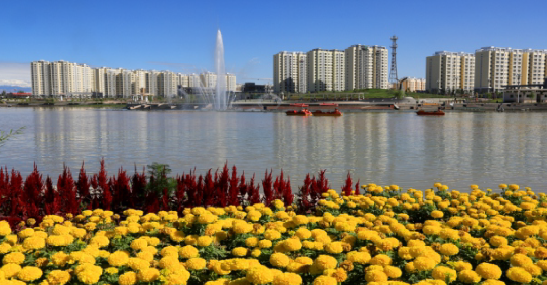 集团全力助推新疆巴州轮台县招商引资落实33361发展战略发展六大产业