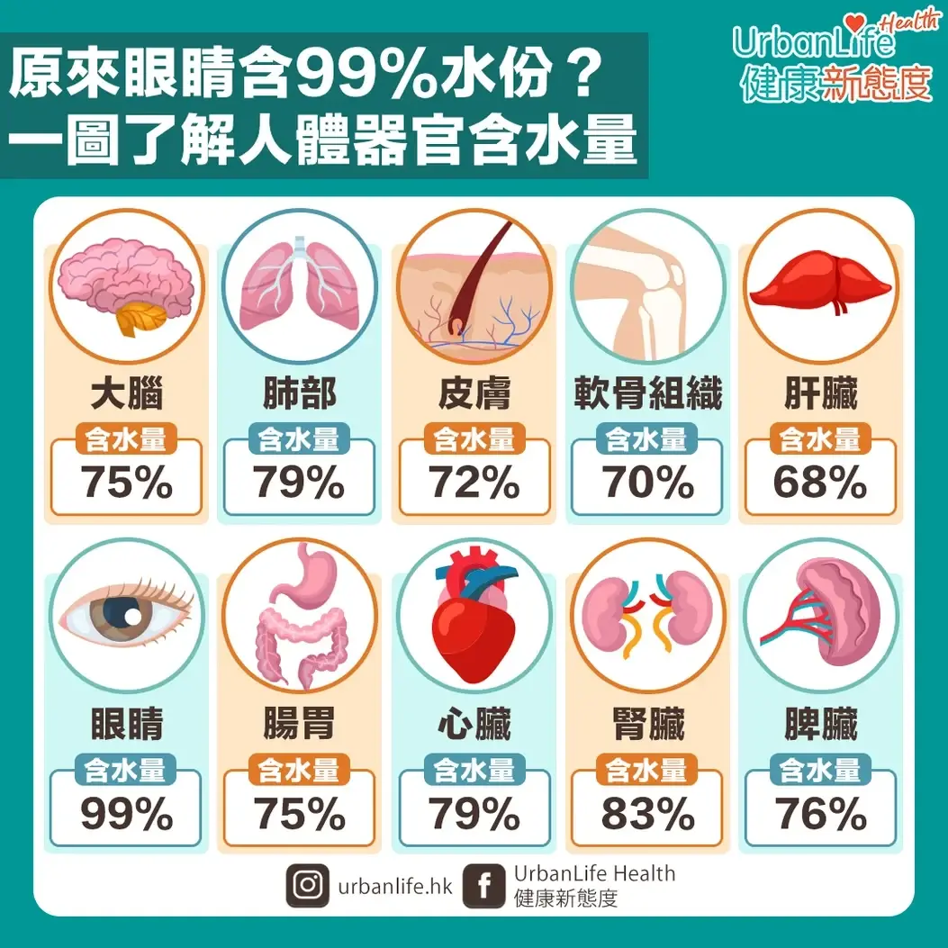 眼睛的含水量最高,达到99%.1. 是组成身体,器官