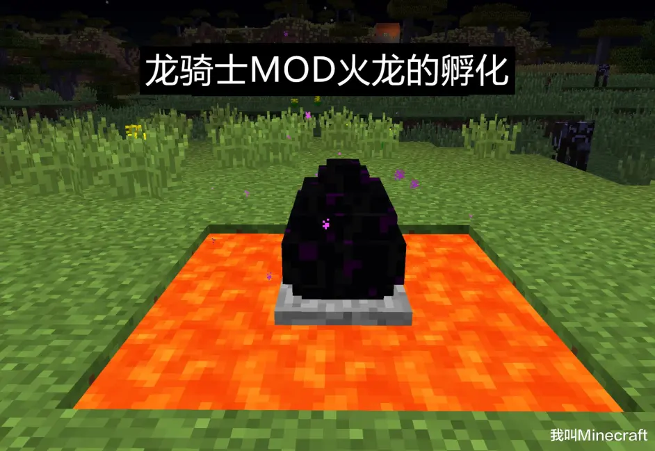 我的世界 龙蛋怎么孵化 老mc这个答案 我是万万没想到的 哔哩哔哩