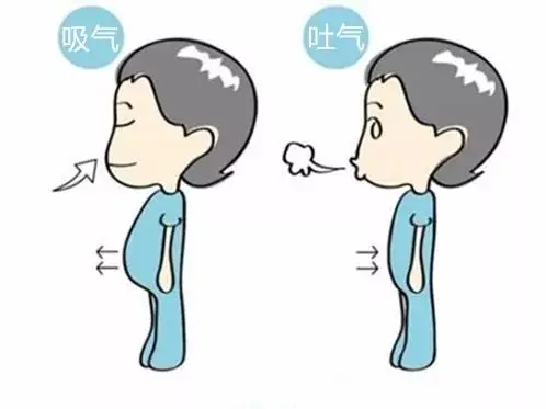 不瞒你说 长这么大了 你可能连呼吸都不会 哔哩哔哩