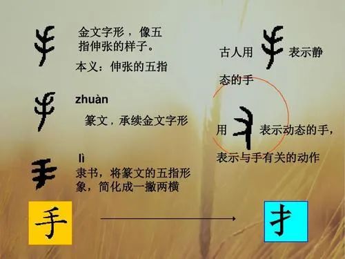 提手旁吉页读什么 B站