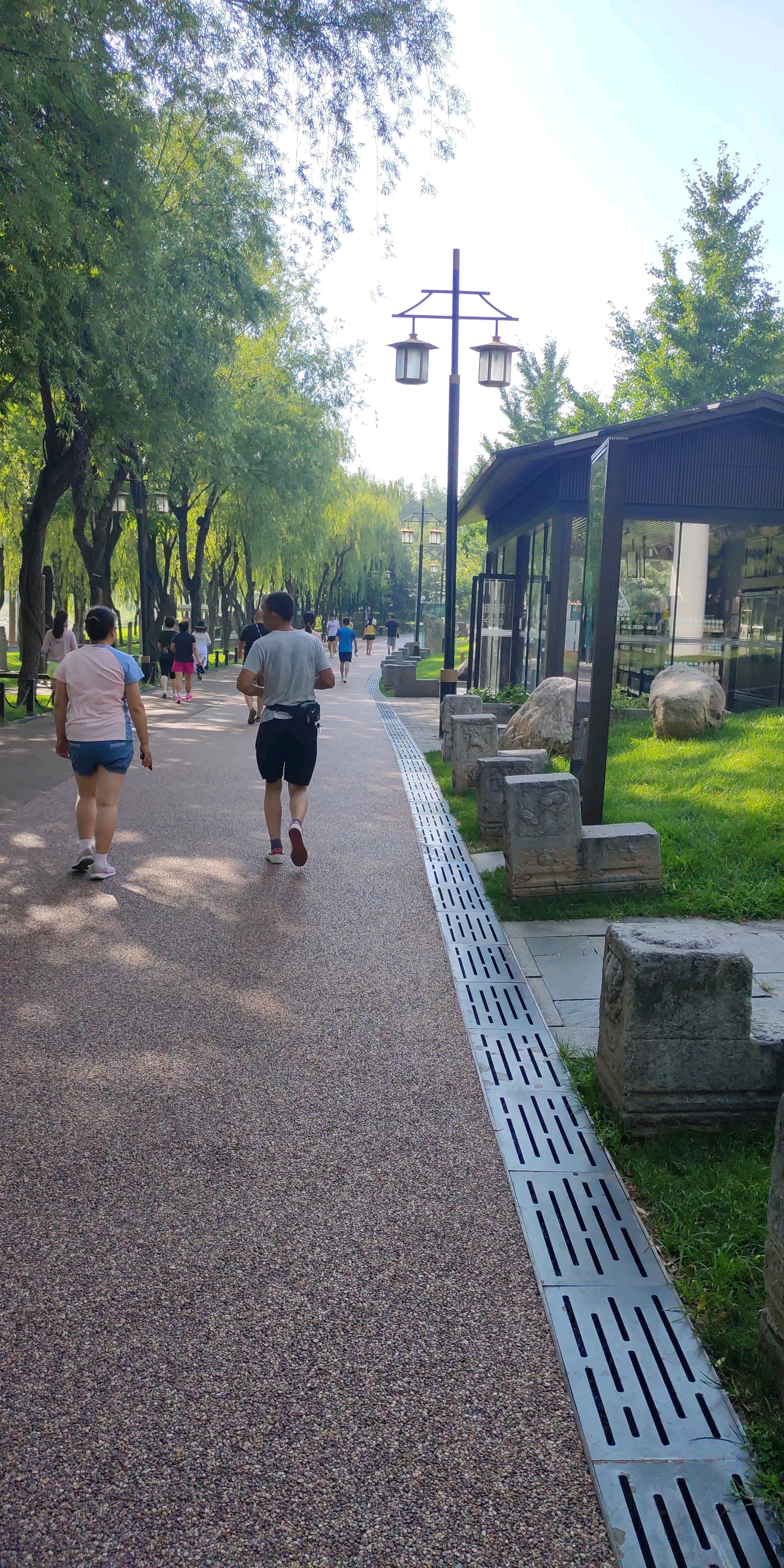 曲江晨练