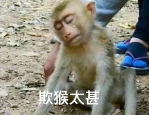 吗喽表情包之第一部分(9张) - 哔哩哔哩