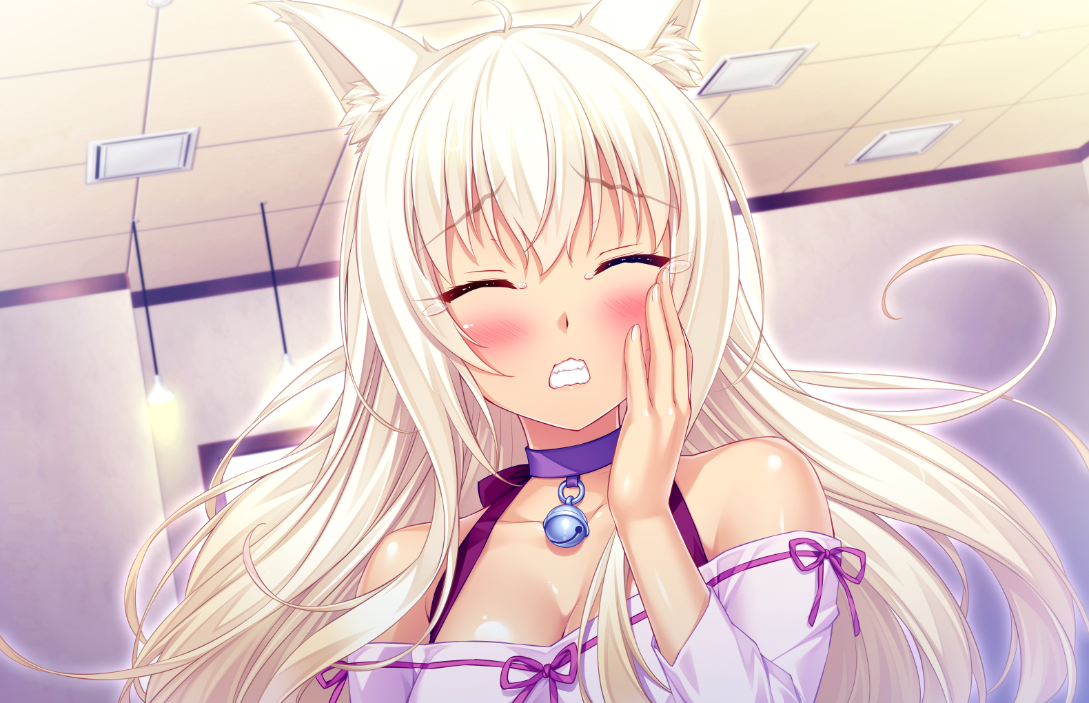 Cg收集 《nekopara Vol2》 哔哩哔哩