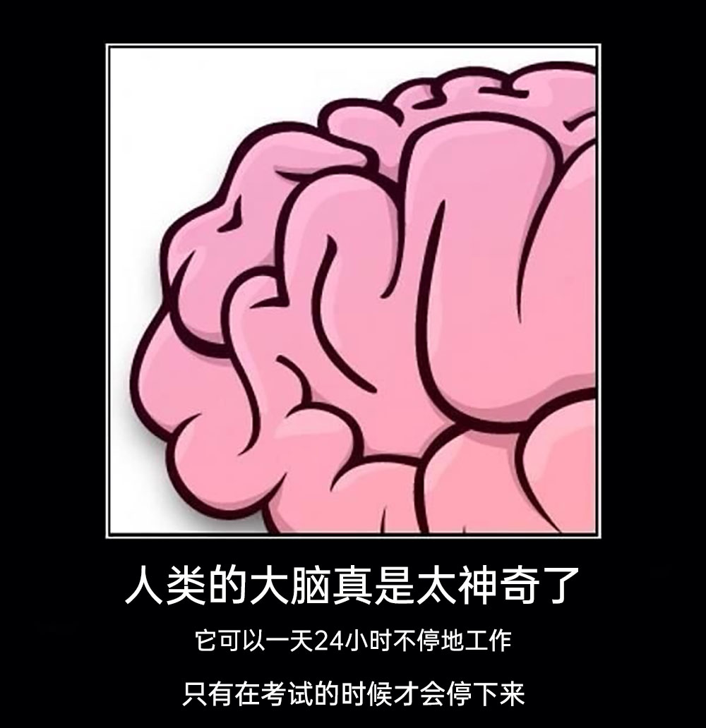 meme梗图：人类的大脑真是太神奇了 - 哔哩哔哩