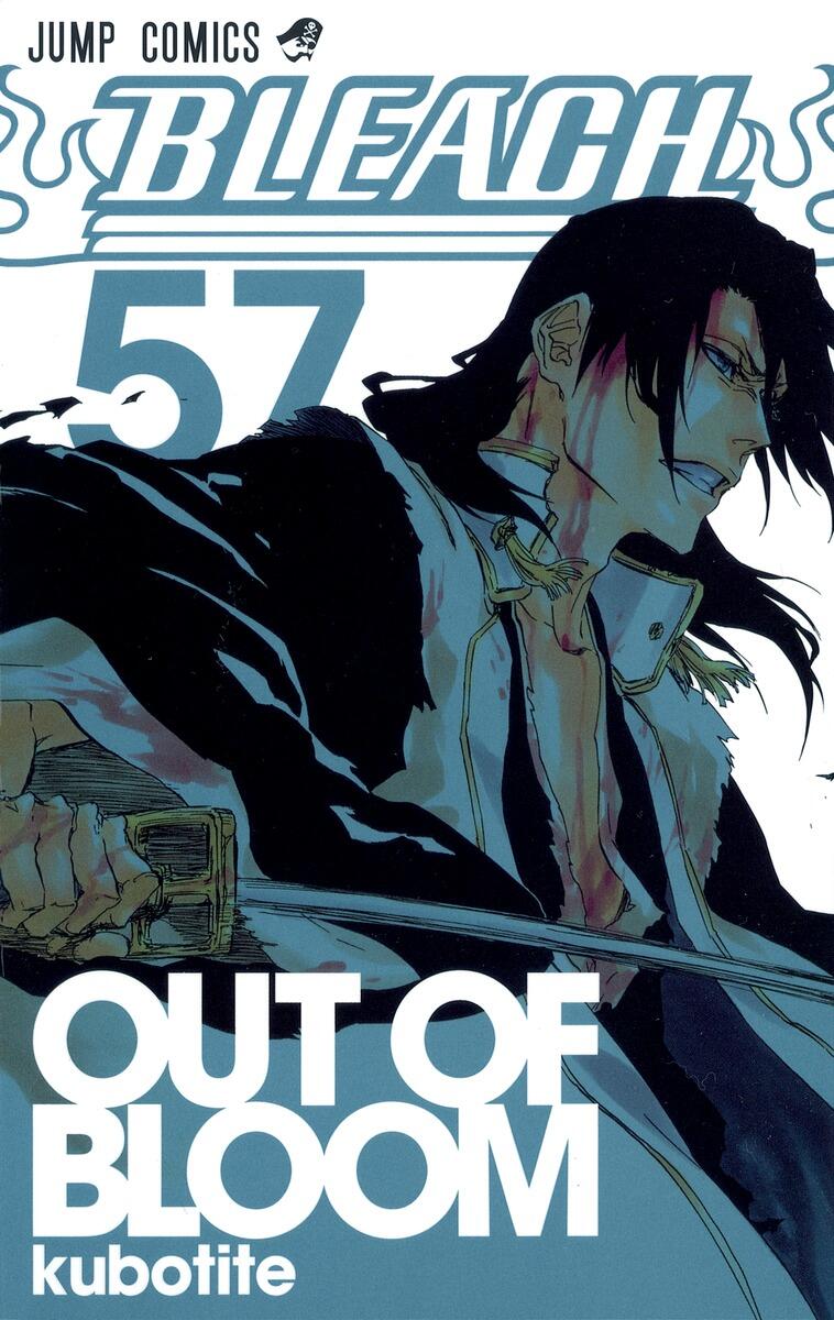 B2大 ポスター　レア番宣　BLEACH  千年血戦篇 死神代行篇 Amazon.co.jp: BLEACH B2ポスター 千年血戦篇 ジャンプフェスタ