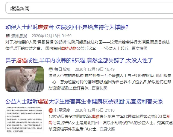那些流浪猫最后都怎么样了 哔哩哔哩