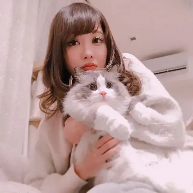 明星档案 第54期 安斋拉拉(安齋らら)个人资料简介及作品写真图片 - 哔哩哔哩