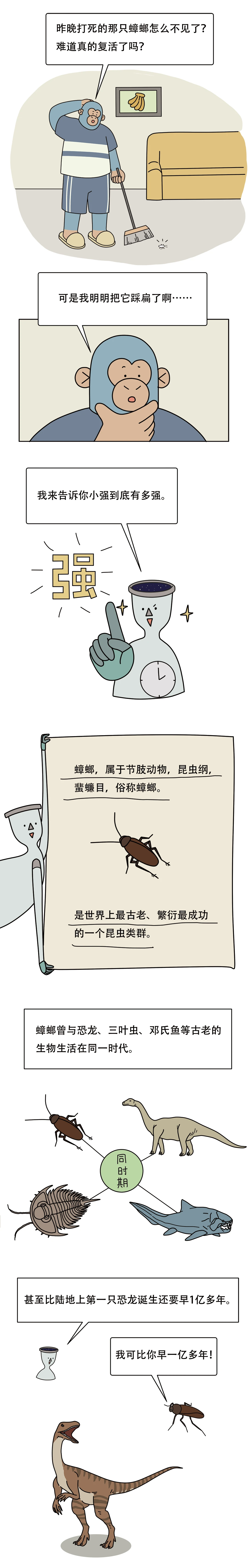 为什么蟑螂看起来虚弱却很难杀？