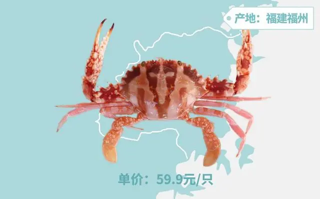 收到一只5斤重的活帝王蟹怎么办 在线等 哔哩哔哩