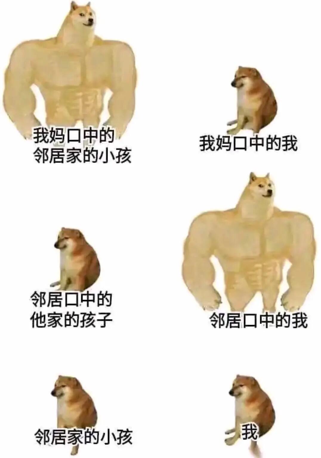 cheems/doge合集【2】|正常人用的表情包(含对比图) - 哔哩哔哩