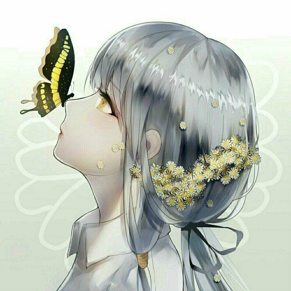 蝴蝶少女!