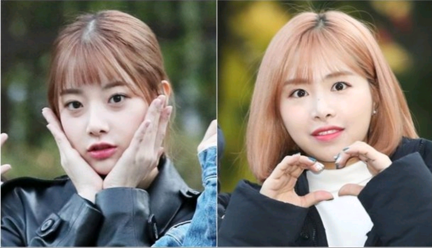 韩网热议!april和李玹珠的亲密自拍又引发"虚假争议"!