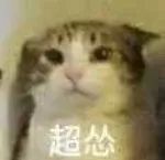 百里守约新皮肤