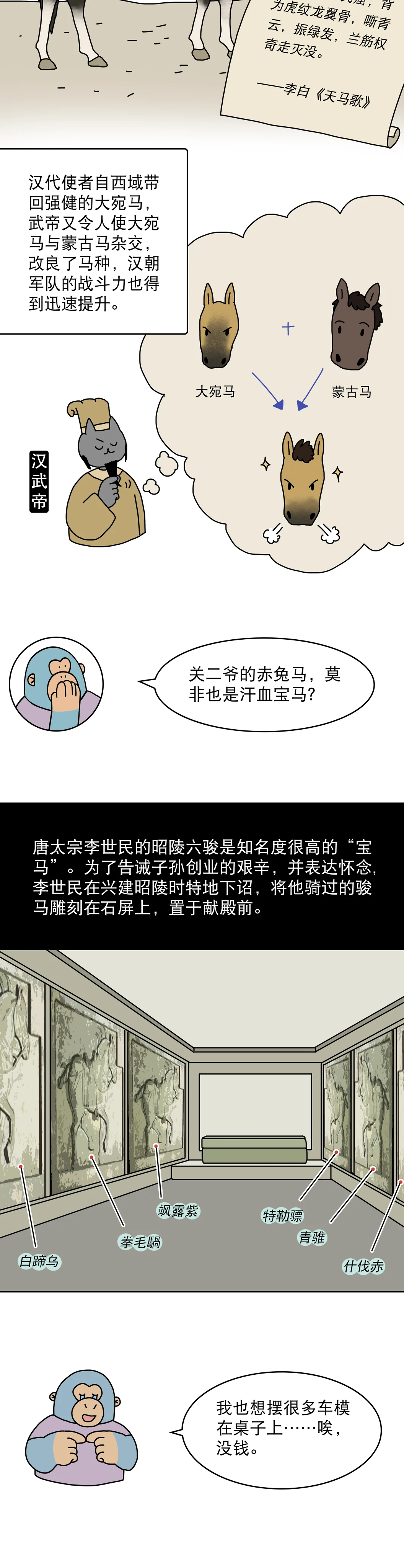 汗血宝马是不是古代的豪车4