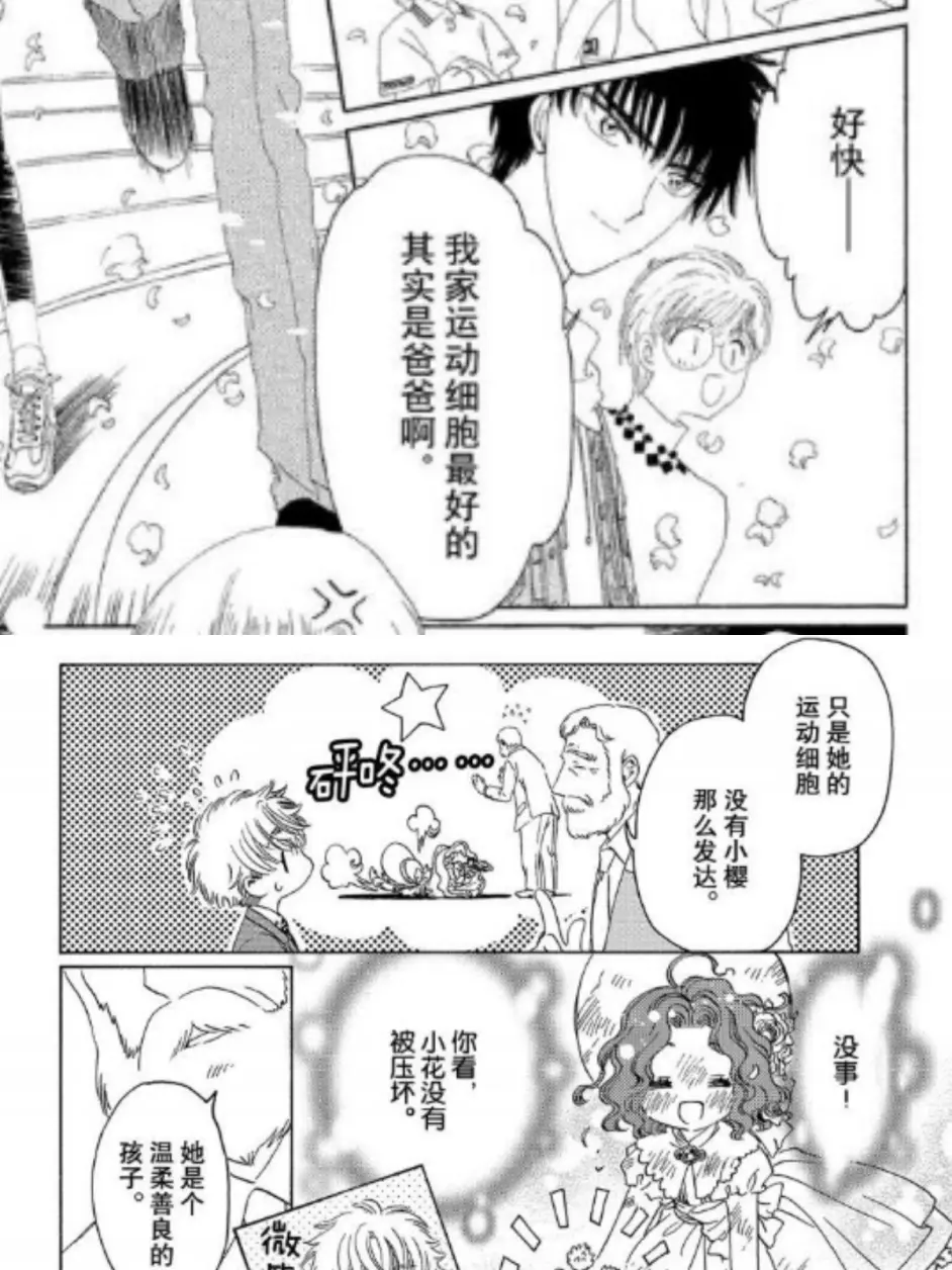 关于木之本家和天宫家族的关系 血缘和魔力 的分析 哔哩哔哩