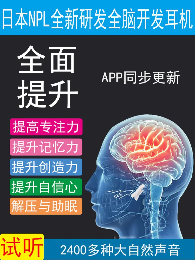 全脑开发潜能 全脑潜能开发有用吗 全脑潜能开发课程 哔哩哔哩