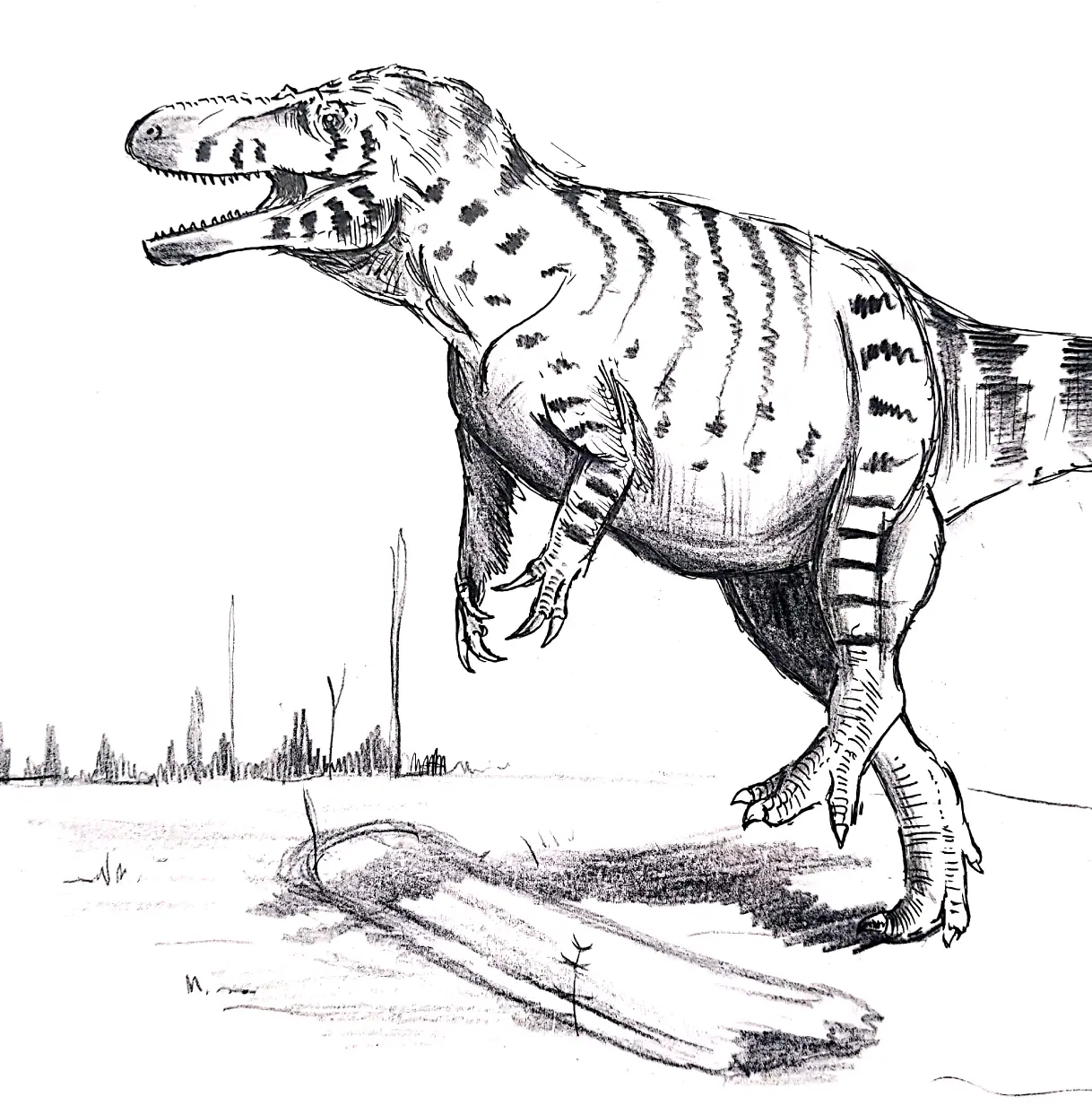 8m 大盗龙科 俄罗斯图为吉兰泰龙捕江山龙幼崽可能为某种镰刀龙,为