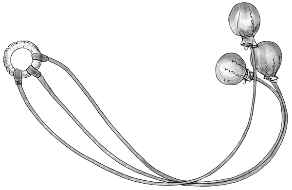 英雄联盟宇宙转载,狮子狗新背景故事加小说