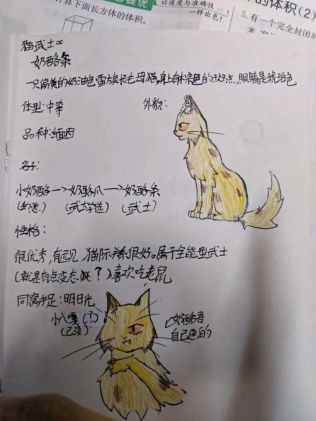 猫武士红尾的伴侣图片