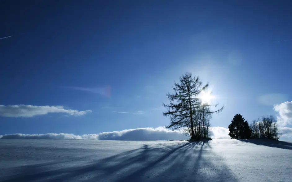 深度美文 物哀的教科书 雪国 哔哩哔哩