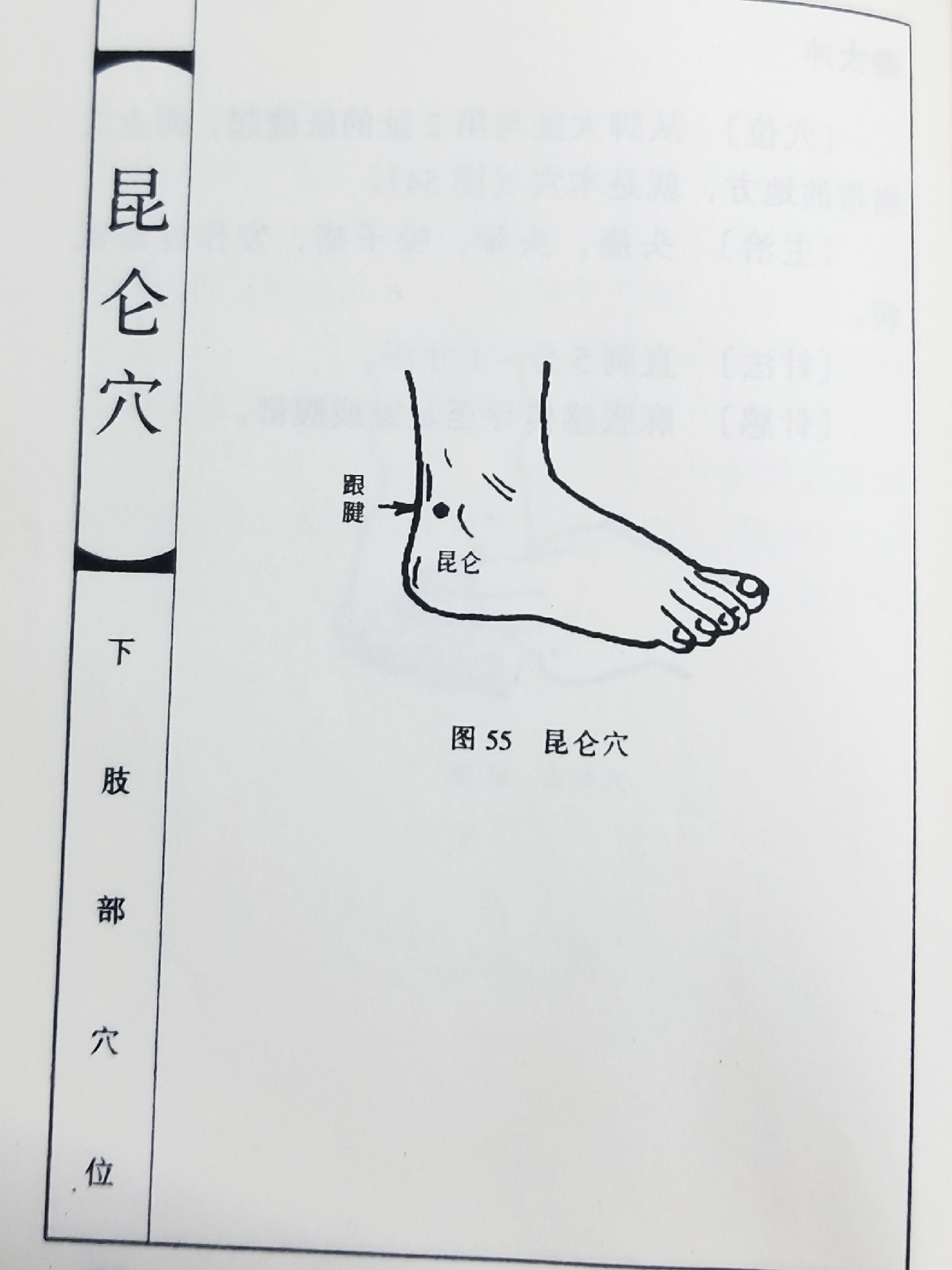 2,承山(辅 穴位:足尖着地,足跟抬起,用力后蹬,小腿肚肌肉出现"人"