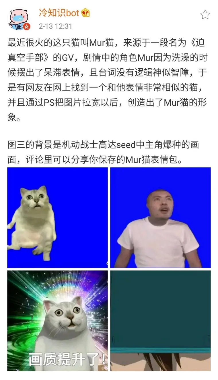 奇怪的知识增加了mur猫表情包 哔哩哔哩