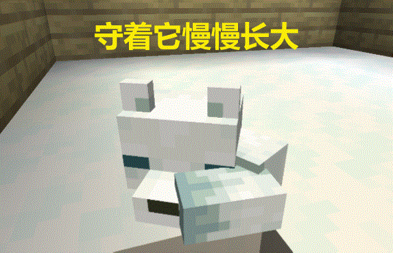 我的世界 狐狸篇 如何在mc养一只 听话 的小狐狸 哔哩哔哩