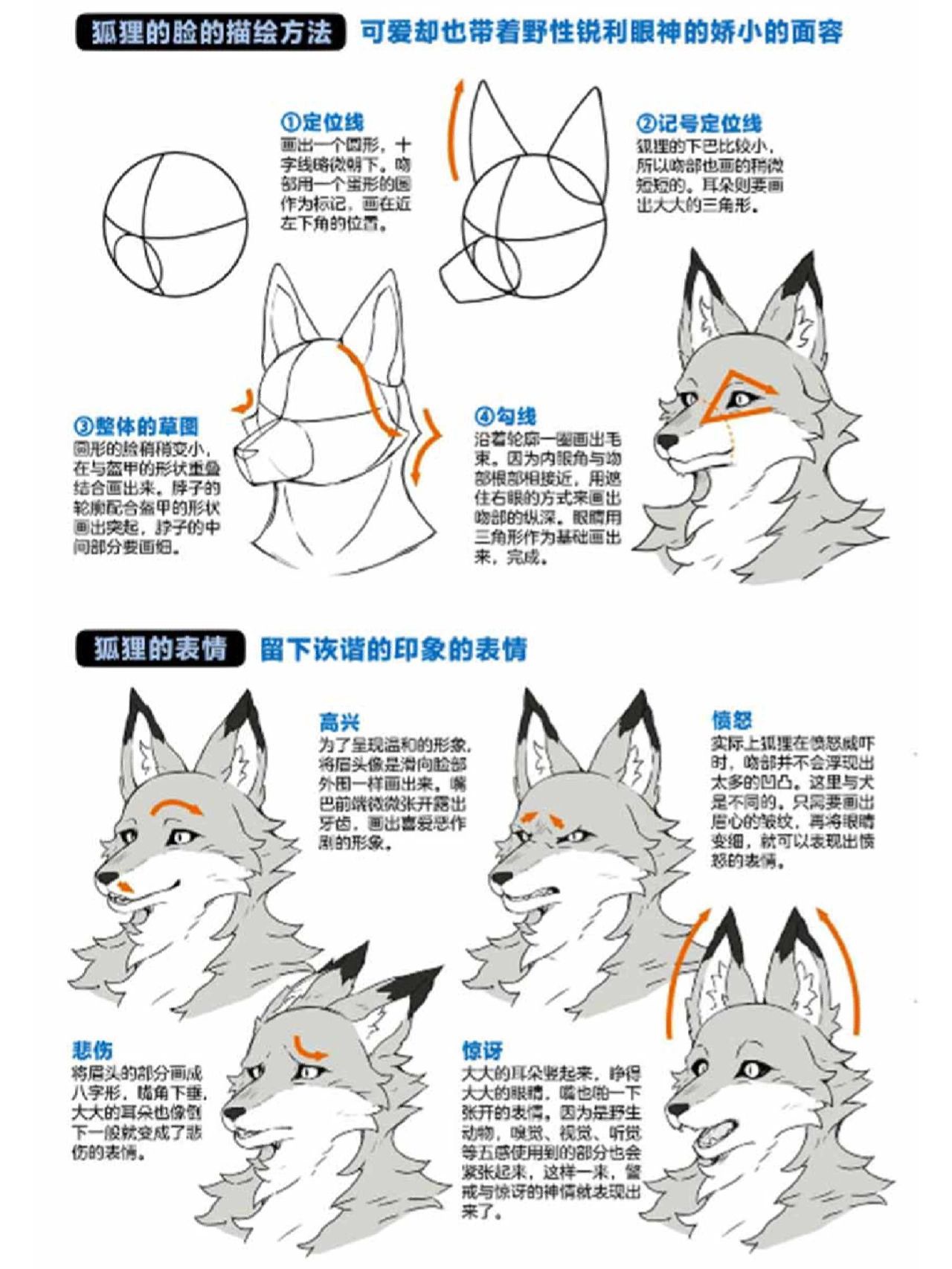 福瑞控狂喜！你们要的福瑞秘籍来了，手把手教你怎么画福瑞~（furry） - 哔哩哔哩